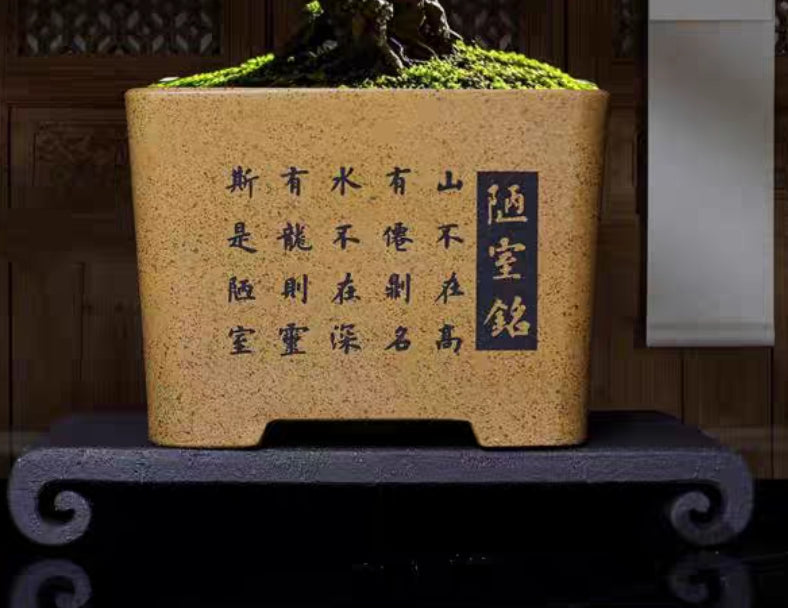 Quality cascade / semi-cascade bonsai pot - 19.5cm