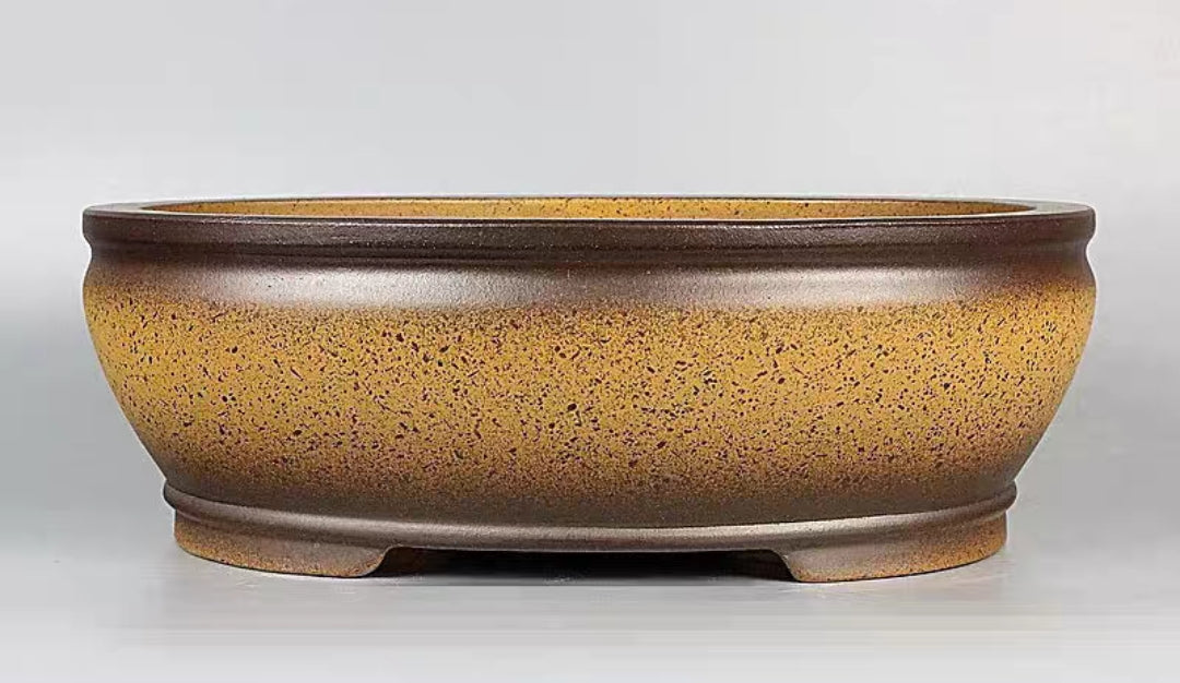 Quality oval bonsai pot - 34 cm