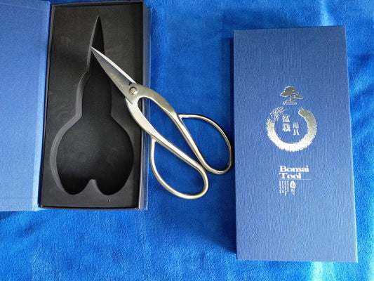 GREAT QUALITY STAINLESS STEEL BONSAI TOOLS - 210MM TRIMMING SHEAR IN GIFT BOX