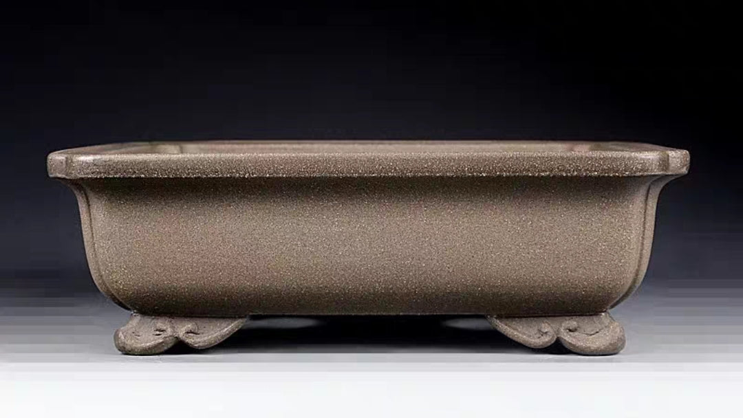 Quality rectangular bonsai pot - 30cm