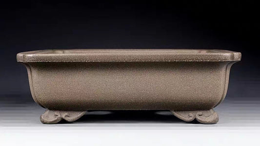 Quality rectangular bonsai pot - 30cm