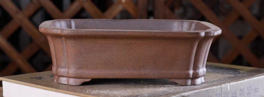 Beautiful rectangular bonsai pot - 21cm
