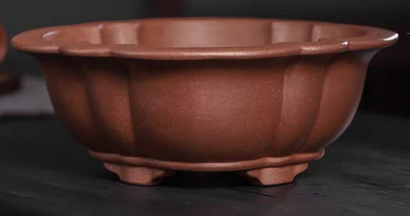 Beautiful lotus bonsai pot - 30cm