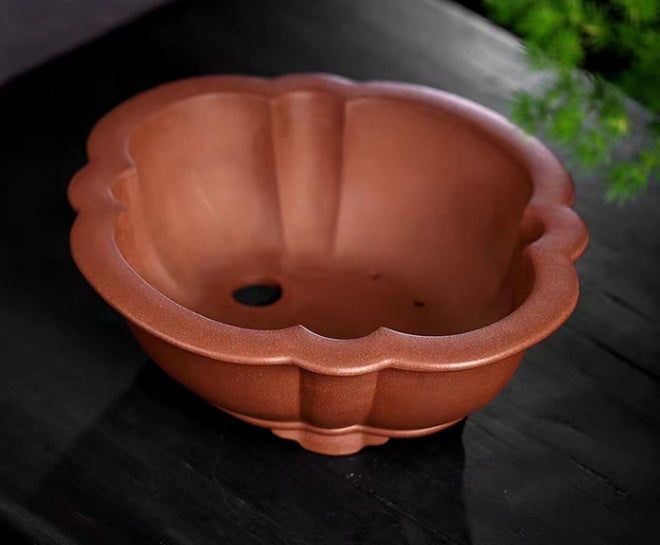 Beautiful lotus bonsai pot - 30cm