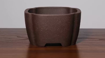 Beautiful small / shohin bonsai pot - 12.5cm