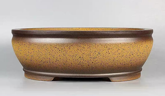 Quality oval bonsai pot - 34 cm
