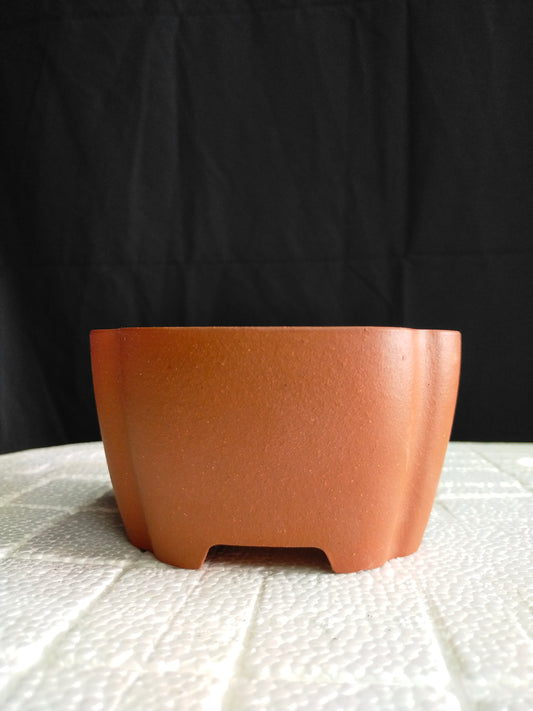 Beautiful small / shohin bonsai pot - 12.5cm