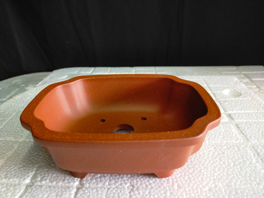 Beautiful small / shohin bonsai pot - 15.8cm