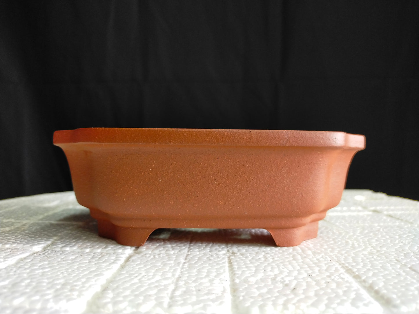 Beautiful small / shohin bonsai pot - 15.8cm